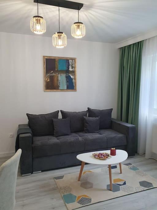 Ama Apartment Hermannstadt