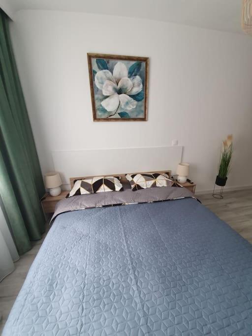 Apartment Ama *